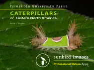 Caterpillar Id USA East Coast ipad bilder 0