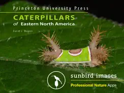 Caterpillar Id USA East Coast iPad image 1