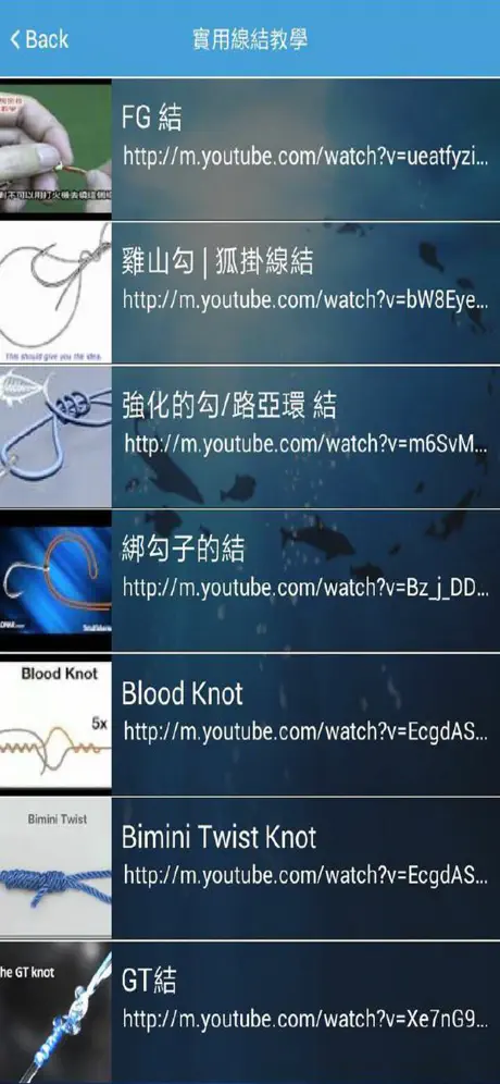 台灣。獨木舟釣魚