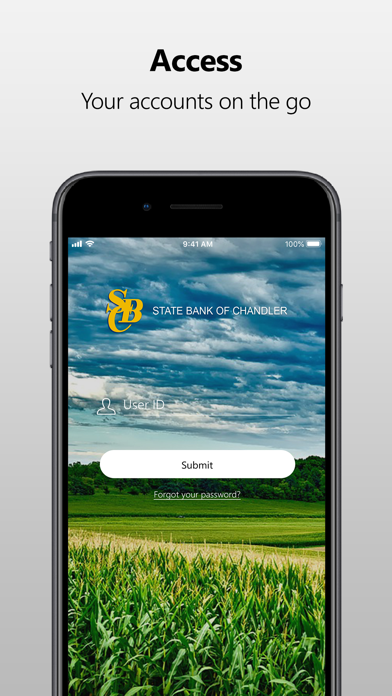 Bank Chandler MN Screenshot