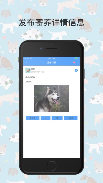 必威电竞-专业电竞体育竞猜