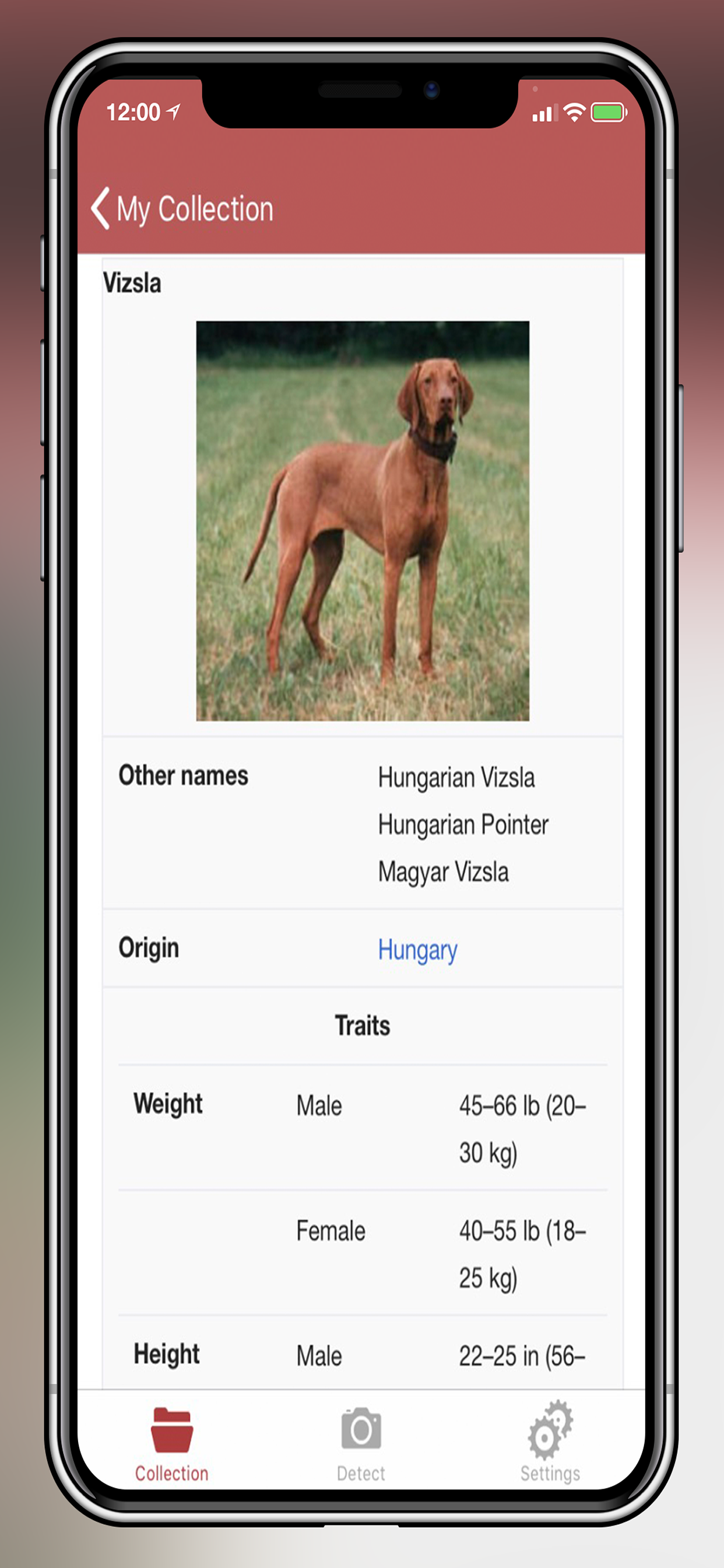 Dog Breed Scanner