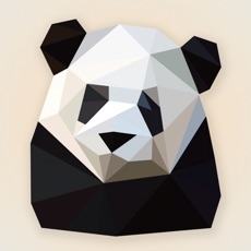 Activities of Poly Panda - Jigsaw Art