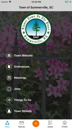 Town of Summerville screenshot 1