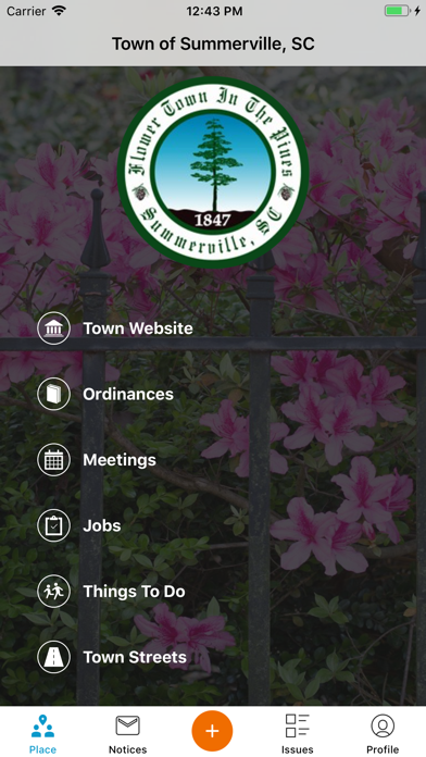 Town of Summerville Screenshot