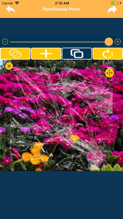 PlastOverlay Photo screenshot-6