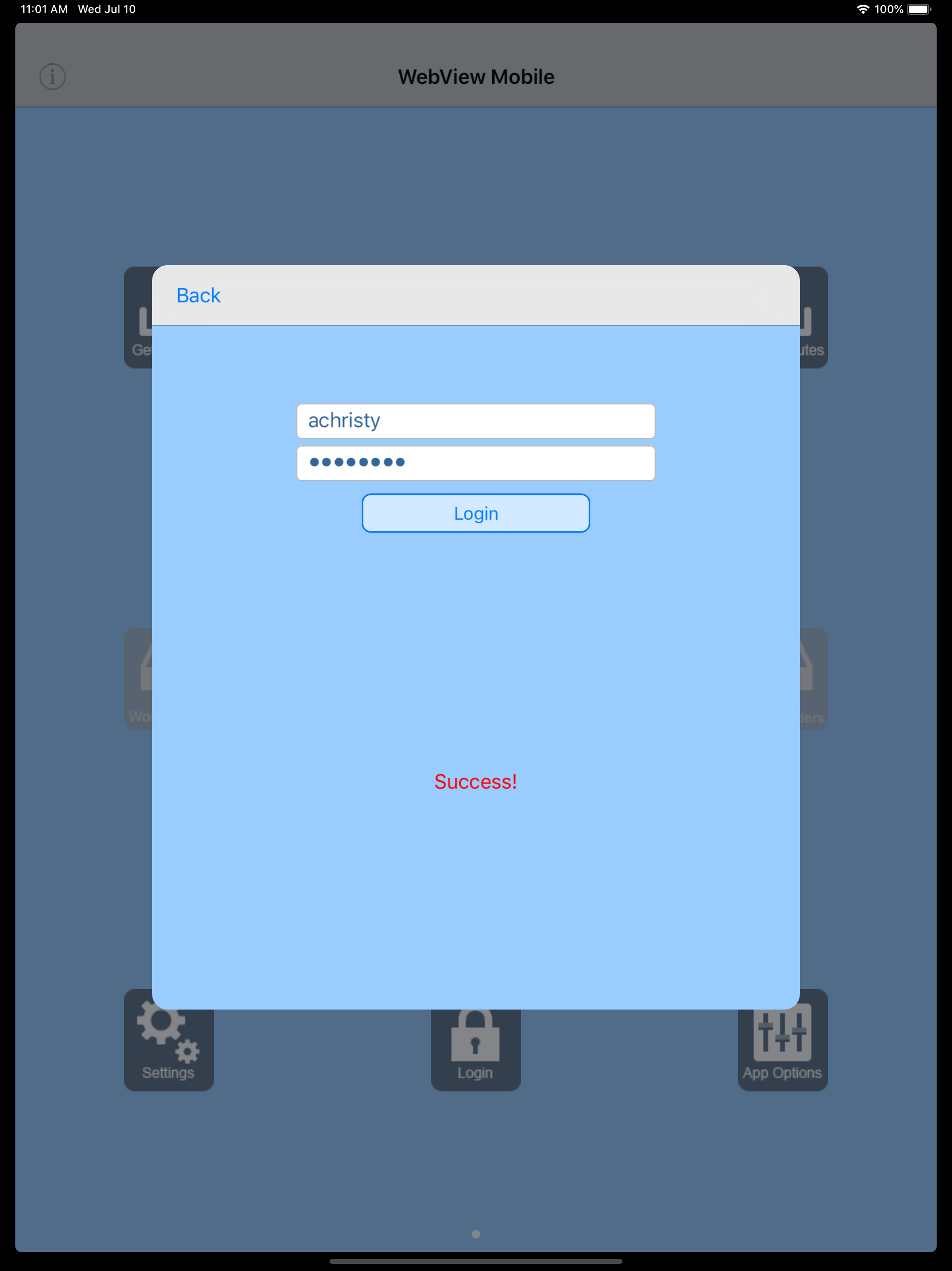 WebView Data Collector
