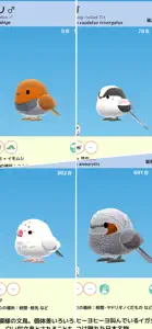 Toriwatch2 -fluffy small birds screenshot #7 for iPhone