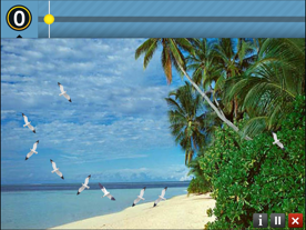 Screenshot 17