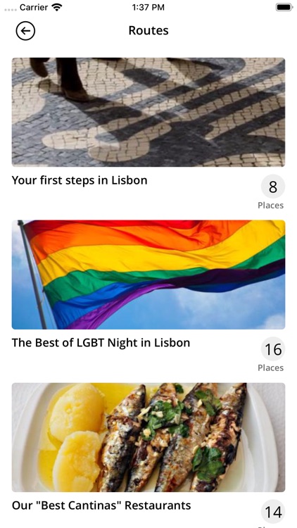 The Late Birds Lisbon screenshot-3