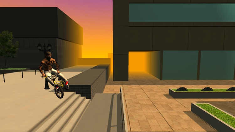 Street Lines: BMX