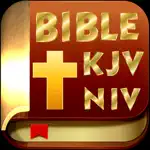 Holy Bible (KJV, NIV) Offline App Contact