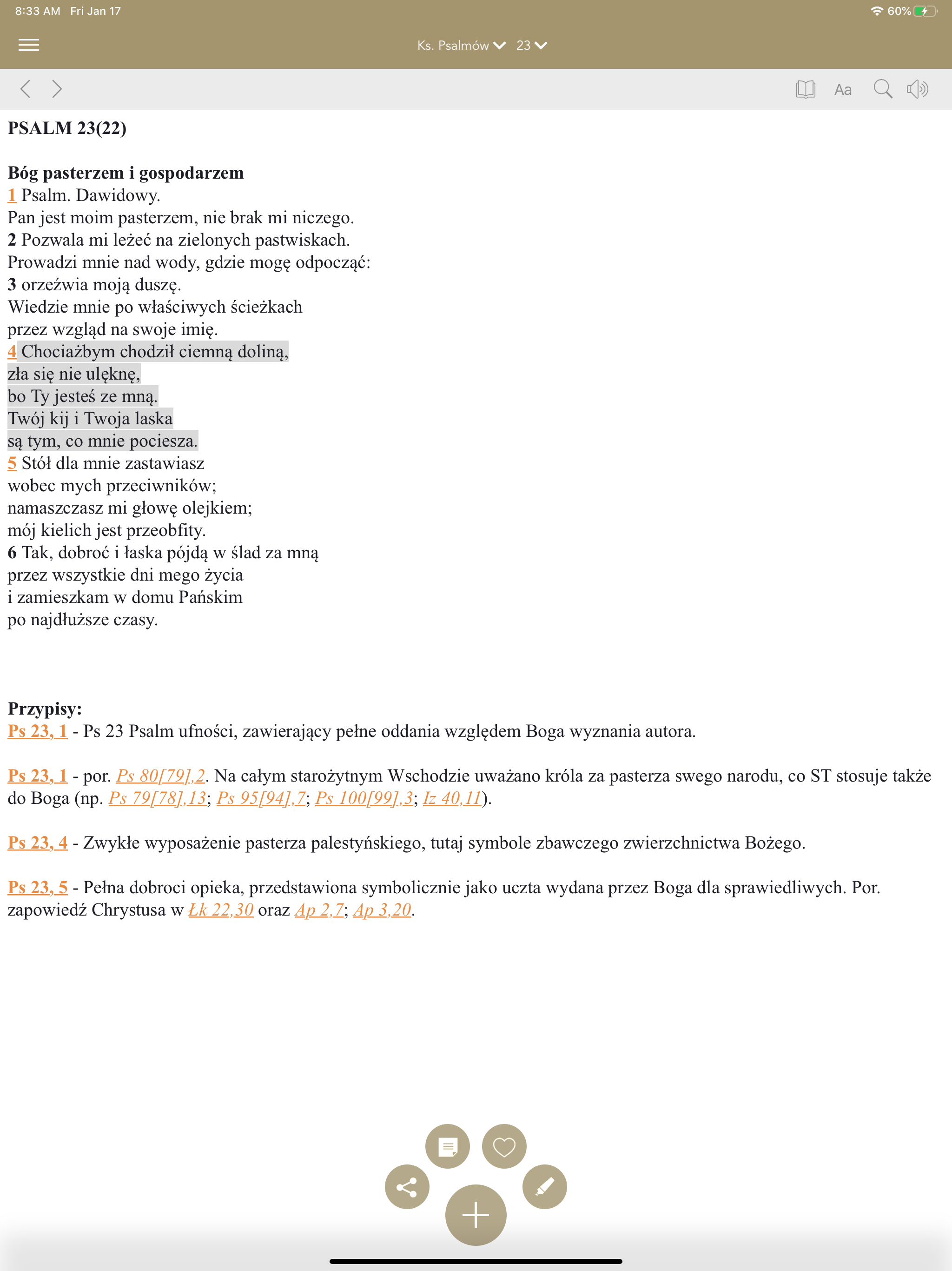 Pismo Święte screenshot 8