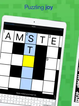 Cryptic Crossword screenshot 8