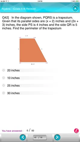 Game screenshot US 9th Algebra apk