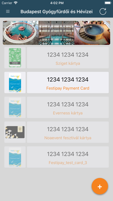 Screenshot #3 pour Festipay