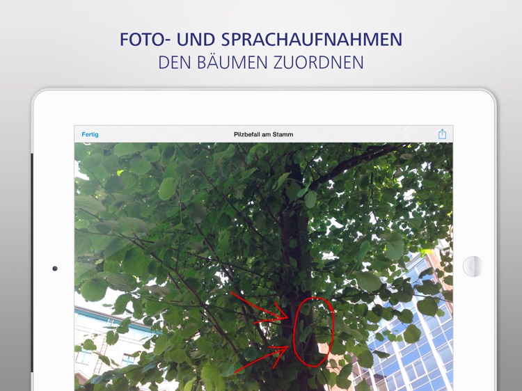 Planon essentialsFM BK