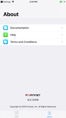 FortiClient VPN screenshot 4