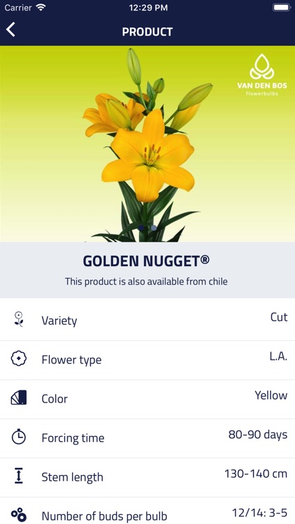 Van den Bos Flowerbulbs screenshot-3