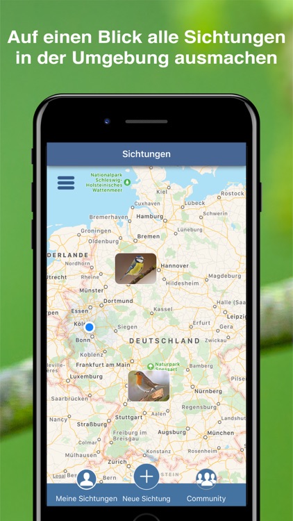 Bird Id - Garden Birds Germany screenshot-7