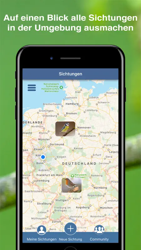 Vogel Id Gartenvögel bestimmen screenshot 8 of 9