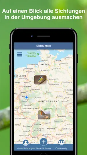 Screenshot von Vogel Id Gartenvögel Bestimmen auf dem iPhone 8