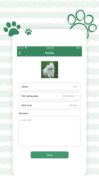 Pet pregnancy plan-Pet baby