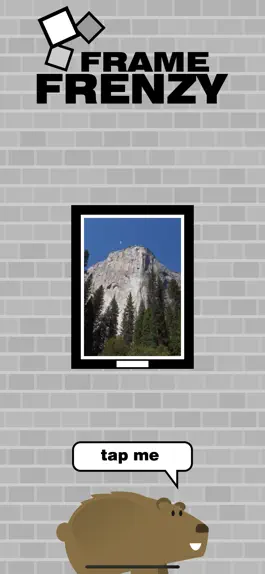 Game screenshot Frame Frenzy apk