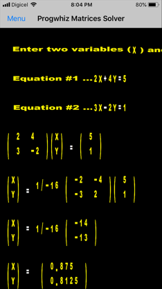 Progwhiz Matrices Solver screenshot 5