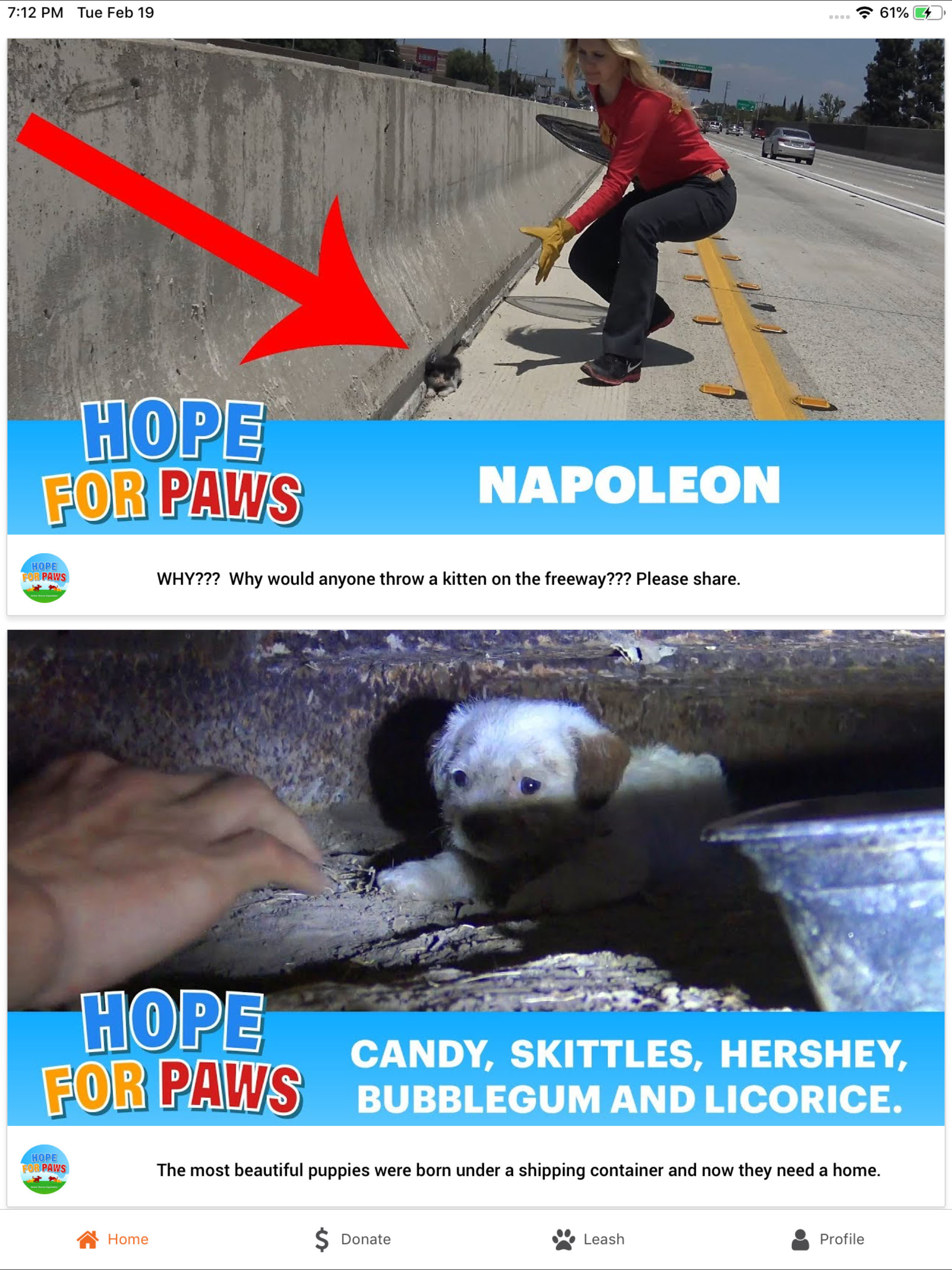 Hope For Paws