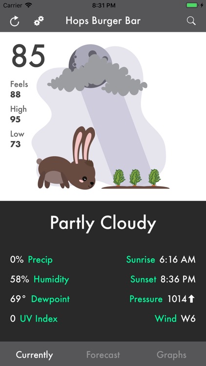 Weather Bunny