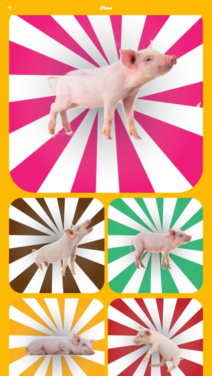 Pig Oink Soundboard
