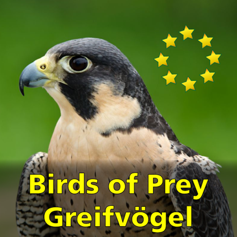 Greifvögel und Eulen Europas