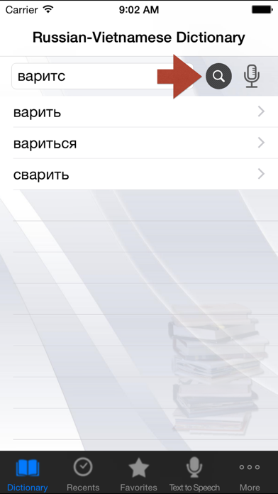 Russian-Vietnamese Dictionary Screenshot