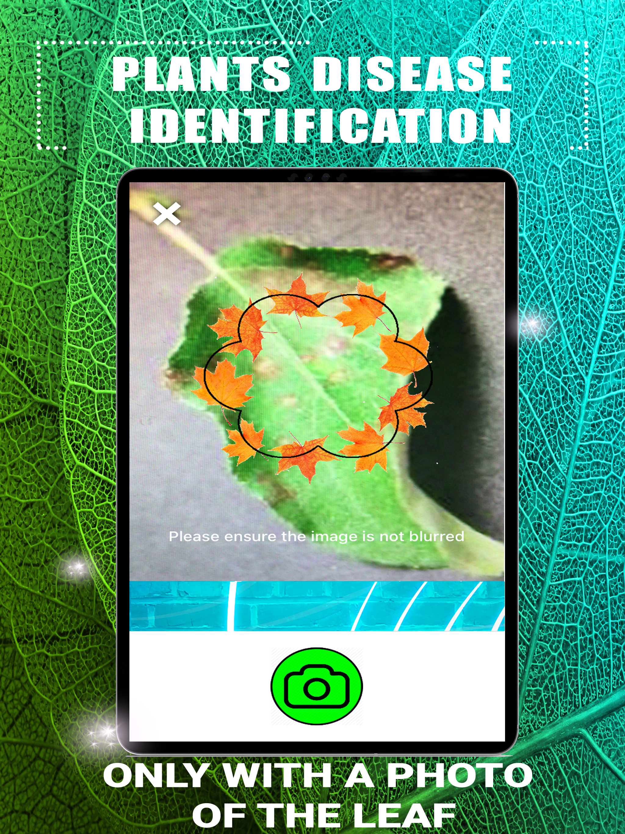 https://is1-ssl.mzstatic.com/image/thumb/Purple113/v4/0b/d6/1a/0bd61a93-8a78-43a1-59e5-57d37f8265d0/pr_source.jpg/2048x2732.png