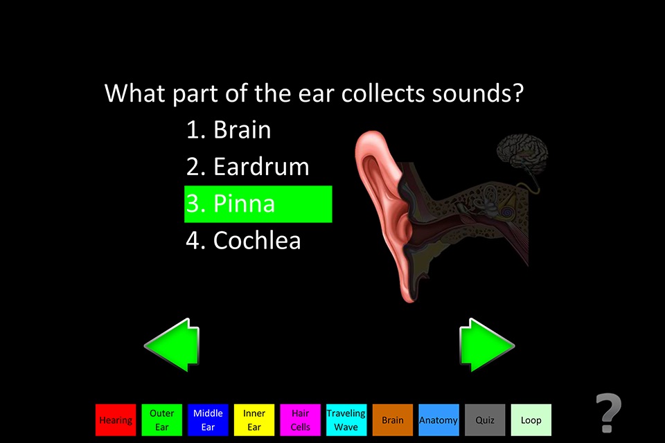 Hearing Anatomy screenshot 3