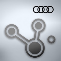 Audi RSE Remote App apk