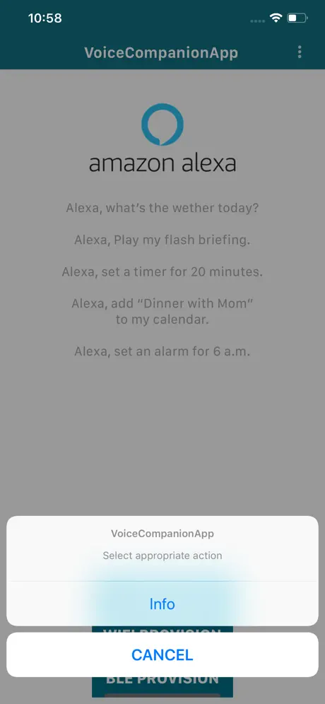 NXP Voice Companion App