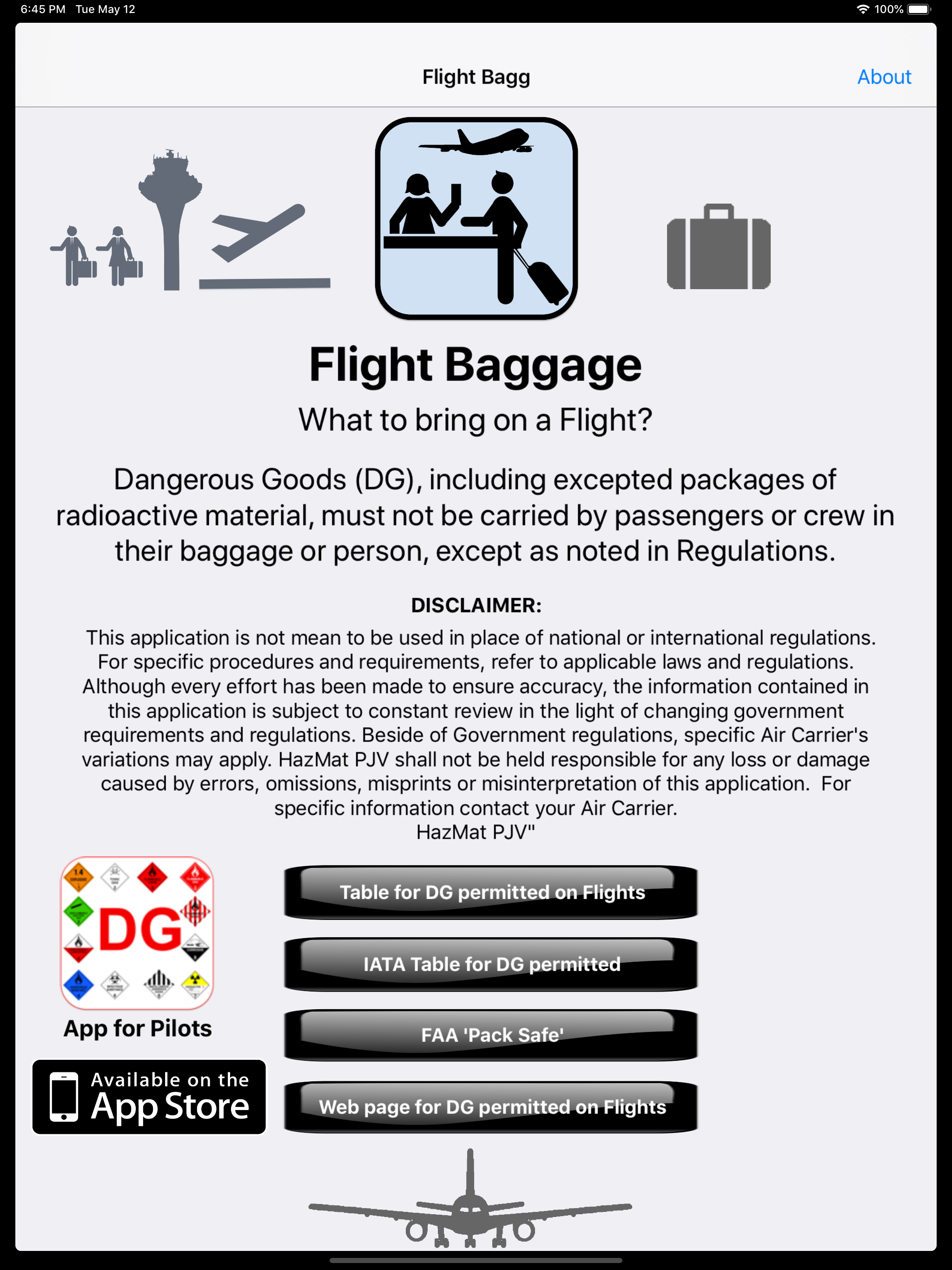 Flight Bagg