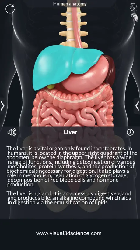 AR Human Anatomy