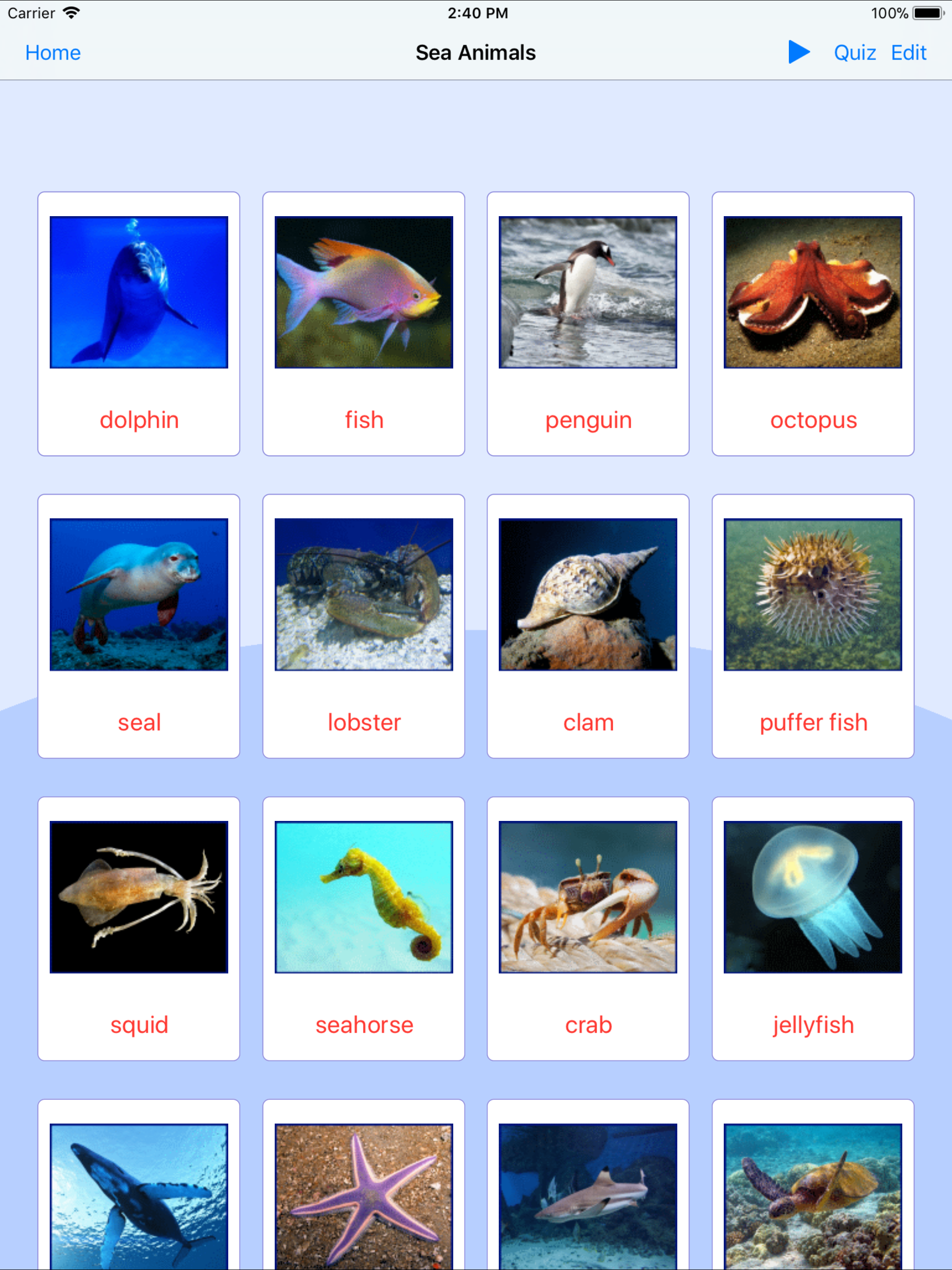 Sea Animals. Learning Cards