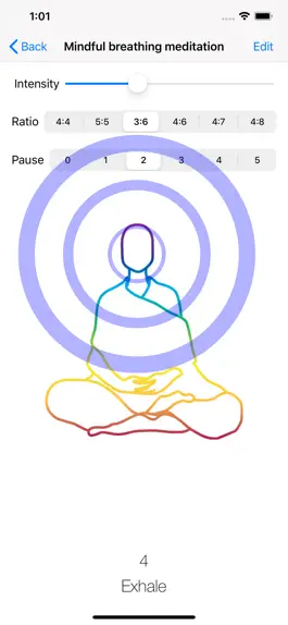 Game screenshot Mind your breathing hack