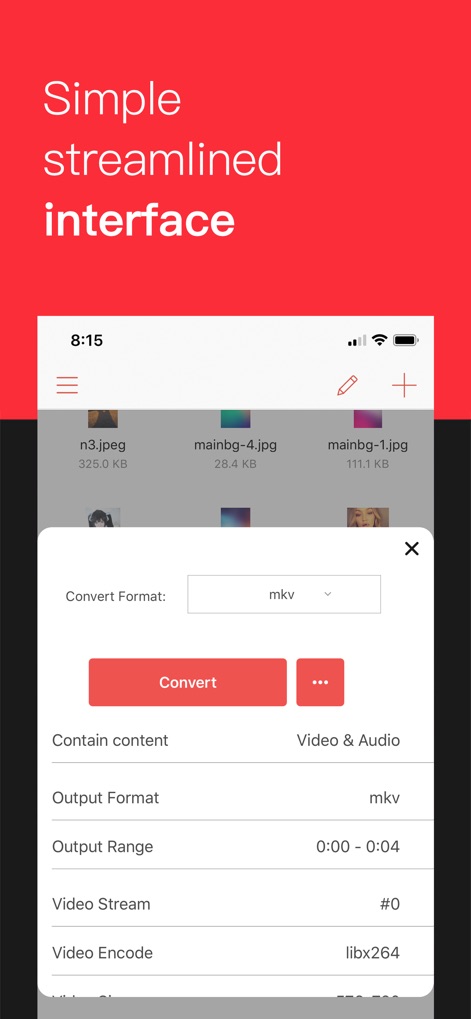 iConv - Video & PDF Converter - Users can precisely configure conversions through a streamlined pop-up menu, offering customizable output formats and advanced video encoding parameters.