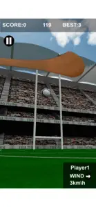 Flick Hurling screenshot #3 for iPhone