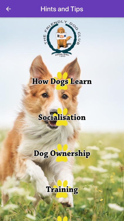 Basic Dog Training screenshot-2