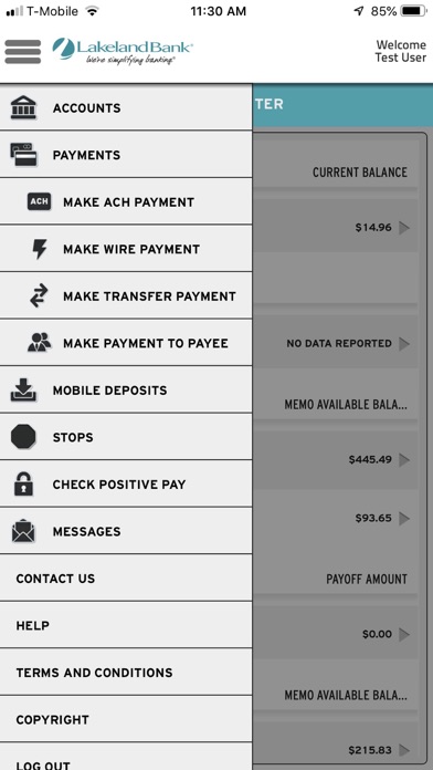 Lakeland Bank eTreasury Screenshot