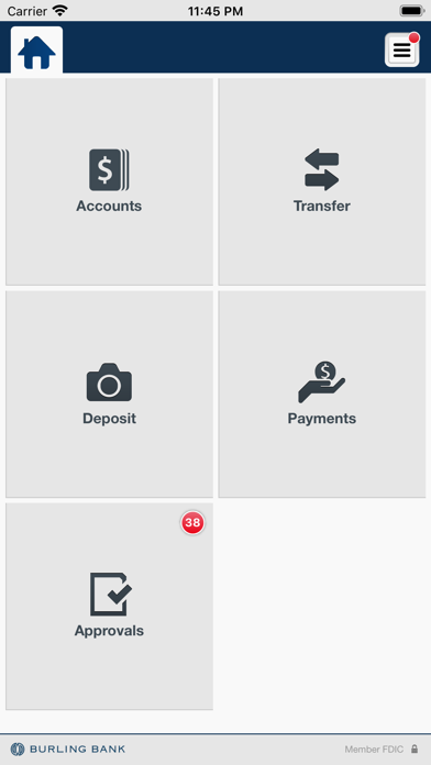 Burling Bank Business Screenshot