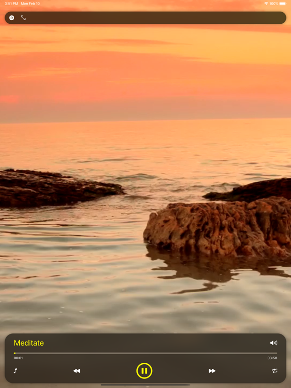 Screenshot #4 pour Musique pour faire face