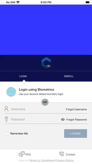 City FCU screenshot 1