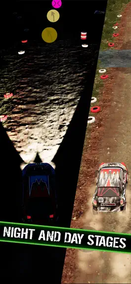 Game screenshot Rally Runner apk